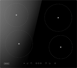Induktionsfeld Reparatur Achim